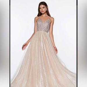 Cinderella Devine CR835 Long Prom Dress Gown